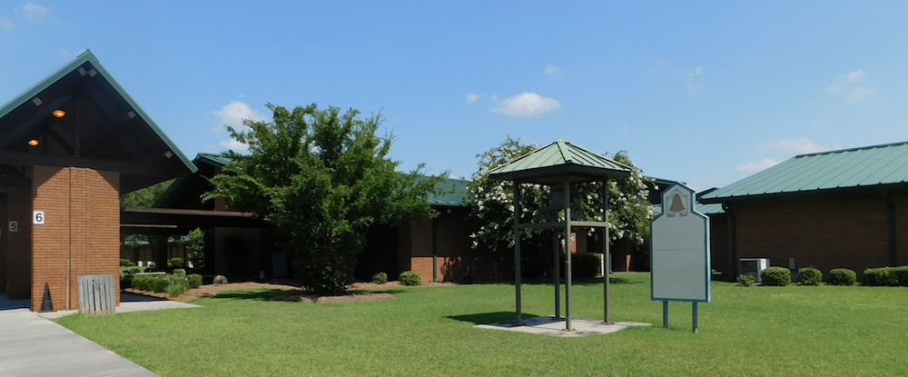 Cook Primary School